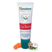 Himalaya Herbal Lip Balm - 10 g