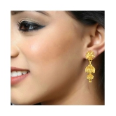 Vighnaharta Traditional wear Gold Plated alloy jhumka for Women and Girls ( Pack of- 1 Pair jhumki Earring) - Golden