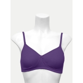 Women Zara Bra Violet Color