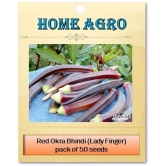 homeagro - Lady Finger Vegetable ( 50 Seeds )