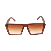 Creature - Brown Square Sunglasses ( Pack of 1 ) - Medium