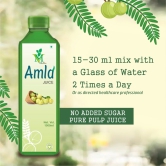 Mint Veda 100% Natural and Herbal Wild Amla Juice 1L | Juice for Health Hair and Skin | Vitamin C | Paraben free | High Fiber For Better Digestion, Immunity Pack of 2