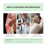 Dr. Vaidya's Rumox Pain Relief Balm -Pack of 1