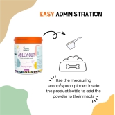 JOLLY GUT - Pre & Pro Biotic Supplement