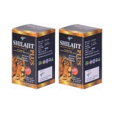 Rikhi Shilajit Plus - Cap 30 no.s (Pack Of 2)