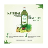 Axiom Wheat Grass Juice 500 ml(Pack of 2) |100% Natural WHO-GLP,GMP,ISO Certified Product