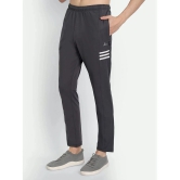 Zeffit - Grey Lycra Mens Trackpants ( Pack of 1 ) - None