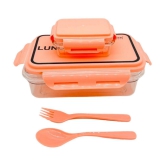 Handa Plastic Lunch Box 2 - Container ( Pack of 1 )