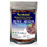 NutrActive Sky Fruit Seed 450 gm