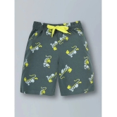 PLUM TREE - Navy Cotton Boys Shorts ( Pack of 2 ) - None