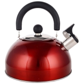 Renberg Induction Base Stainless Steel Whistling Kettle (2.25 Litres, Multicolour)