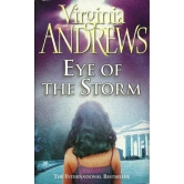 Eye of the Storm (Hudson, #3)