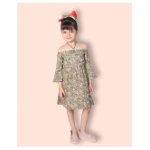 Addyvero - Green Cotton Girls A-line Dress ( Pack of 1 ) - None