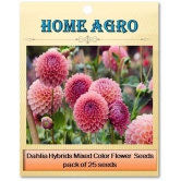 homeagro - Dahlia Mixed Flower ( 25 Seeds )