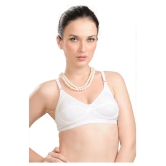 Madam Cotton T-Shirt Bra - White Single - 34B