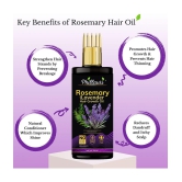 Phillauri - Anti Hair Fall Rosemary Oil 300 ml ( Pack of 1 )