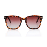 Brown Wayfarer Sunglasses for Unisex