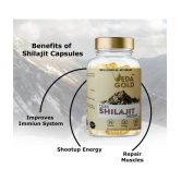 VEDA GOLD SHILAJIT CAPSULES FOR MEN & WOMEN / PURE HIMALAYAN SHILAJIT IN 30 CAPSULE FORM 100% PURE