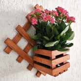 BARISH - Wall Mounted Planter - Diamond Single | Handcrafted with Rubberwood | Indoor Hanging Planter with Wall Mount Stand 16 x 16 x 6 Inches