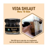 Vedapure Original Shilajit/Shilajeet Resin For Endurance, Bodybuilding and Power & Helps in Energy, Stamina 25 Gram (Pack of 1)