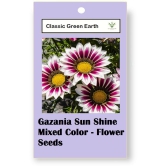 CLASSIC GREEN EARTH - Flower Seeds ( Gazania Star Light Dwarf 30 Seeds )