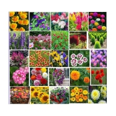 GLOBAL STORE - Mixed Flower ( 1000 Seeds )