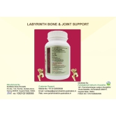 Labyrinth Joint Support_60T