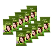 Neeta Pure Henna Powder for Hair with 9 Natural Herbs 15g Pack of 10, 100% Natural Henna Mehndi for Natural Looking Hair