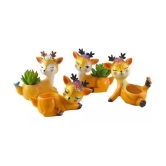 TISYAA - Assorted Desk Planters ( Pack of 1 ) - Assorted