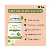 LEAN HEALTH GOLD Fat Burner & Weight loss supplements Capsule 60 no.s Pack Of 1