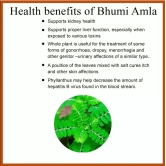 FPO Kisan Naturals Bhumi Amla - 100gm