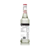 Monin Syrup Mojito Mint Flavored, 250 Ml