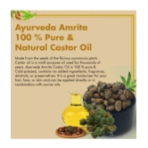 Ayurveda Amrita - Anti Hair Fall Castor Oil 100 ml ( Pack of 1 )