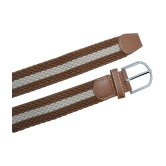 Loopa Brown Nylon Casual Belt Pack of 1 - None