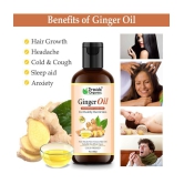 Dravida Organics Ginger Hair Oil - 100% Pure & Natural for Skin & Hair Oil 100 mL