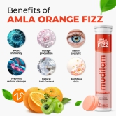 Muditam Ayurveda Amla Orange Fizz Tablet | Vitamin C Effervescent tablets for Skin, Hairs & Eyes | Amla Orange Extract 20 Effervescent Tablets | Immunity Booster - Antioxidant Builder