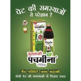 Multani Pachmeena Tonik | Relief From Gas, Bloating, | 100% Natural & Ayurvedic 300 ml (2 Pack)