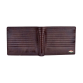 HAMT Leather Brown Casual Regular Wallet - Brown