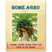 homeagro - Papaya Fruit ( 50 Seeds )