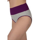 Madam Red,Purple PANTY Nylon Solid Womens Hipster ( Pack of 2 ) - None