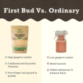 First Bud Organics Ginger Powder 100 gm-250 gm