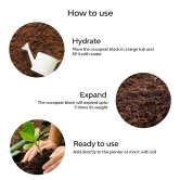 Cocopeat | Organic Fertilizer