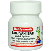 Baidyanath Sanjivani Bati 40 Tablets (Pack Of 3)