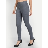 AngelFab - Denim Regular Fit Grey Womens Jeggings ( Pack of 1 ) - None