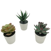 Small Artificial Succulents Potted Plant | Set of 3