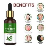 Intimify Tea Tree Essential Oil, Anti Acne Face Oil, Anti Ageing Face Oil, 30 Ml