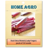 homeagro - Lady Finger Vegetable ( 50 Seeds )