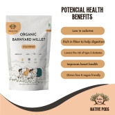 Native Pods Barnyard Millet Unpolished 500gm- Sanwa,Kuthiravali,Oodalu - Natural & Organic - Gluten free and Wholesome Grain without Additives