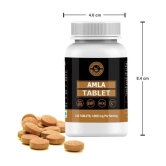 Holy Natural Amla Tablet - 120 no.s Vitamins Tablets