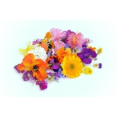 Edible Mix Flowers 1 Pack